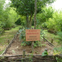 EPN jardin amphoralis 2018