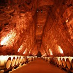 Terra vinea narbonne cave