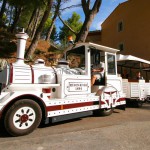 Terra vinea narbonne petit train